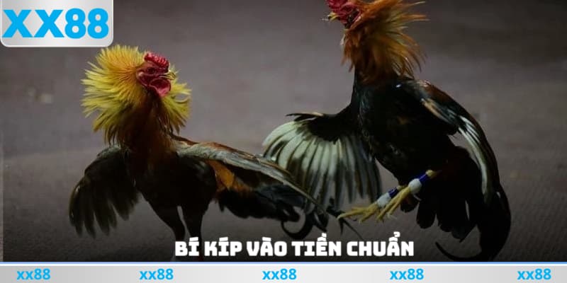 Bí kíp vào tiền chuẩn