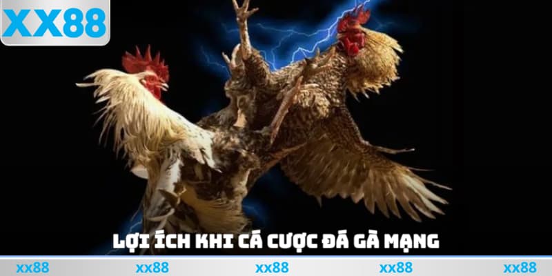 Lợi ích khi cá cược đá gà mạng